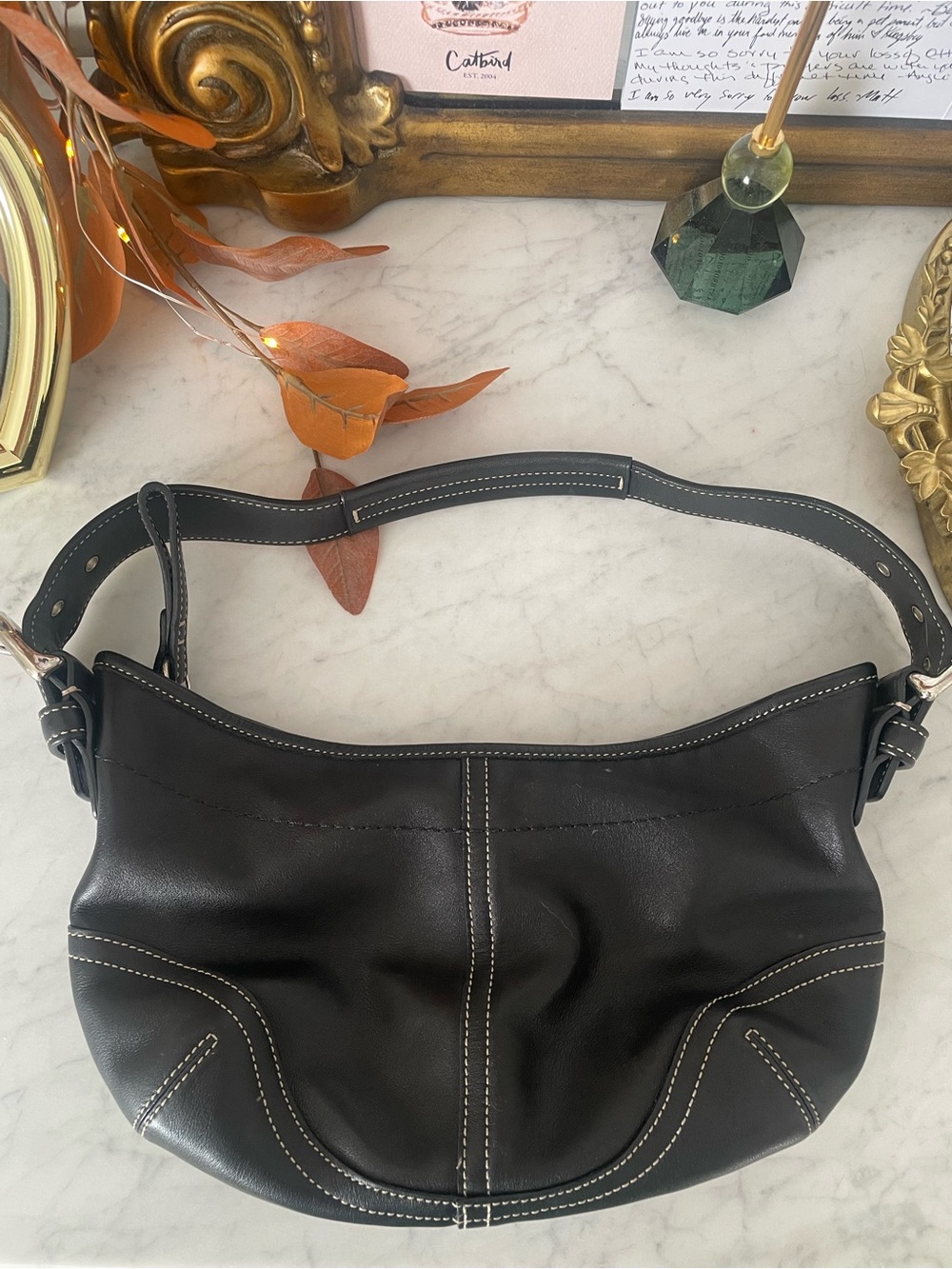 Coach Soho Hobo Bag, Mini, 9541